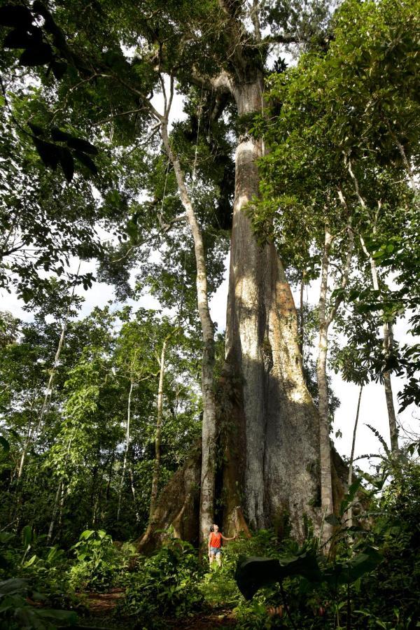 Misahualli Amazon Lodge Екстериор снимка