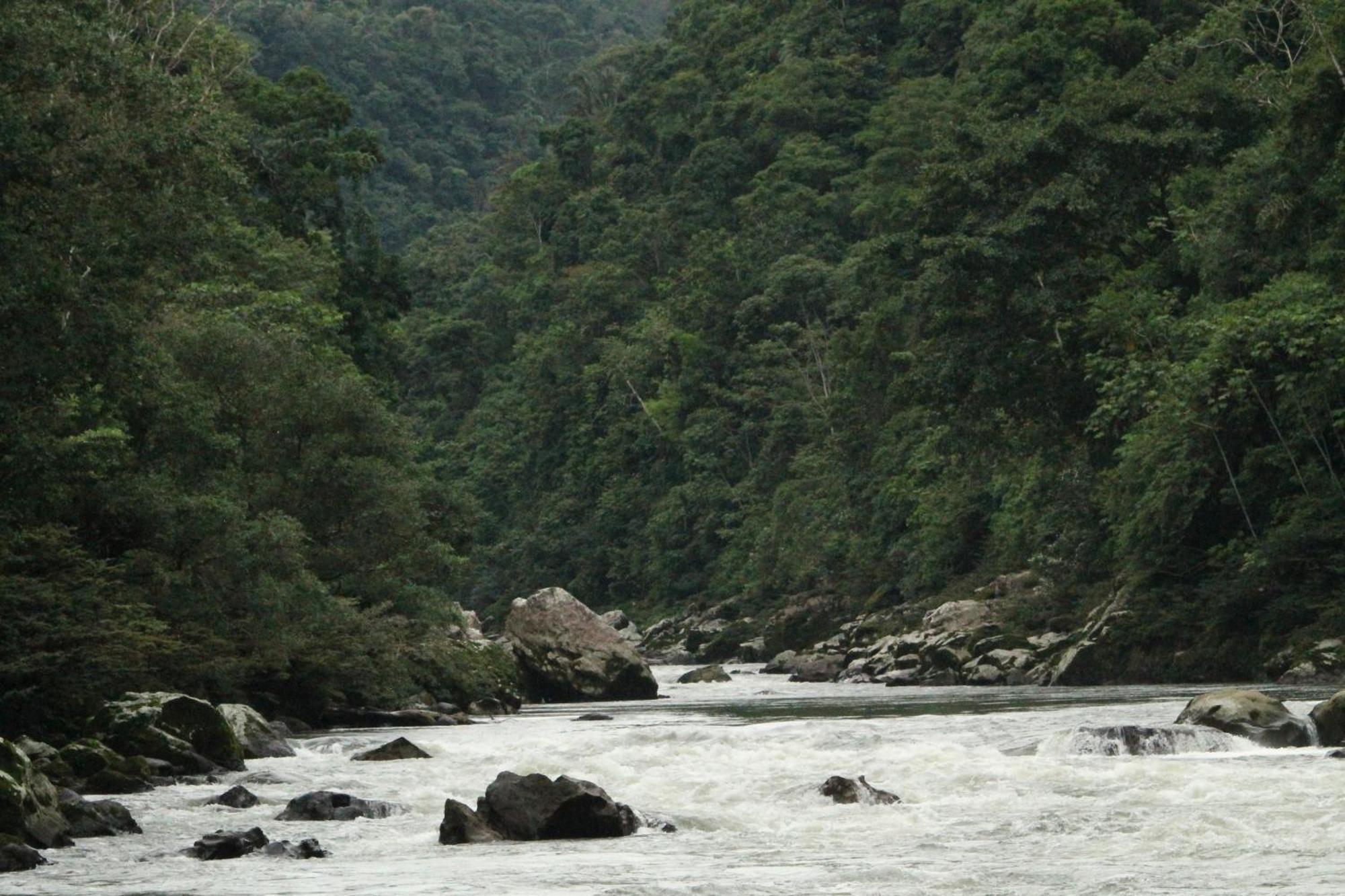 Misahualli Amazon Lodge Екстериор снимка