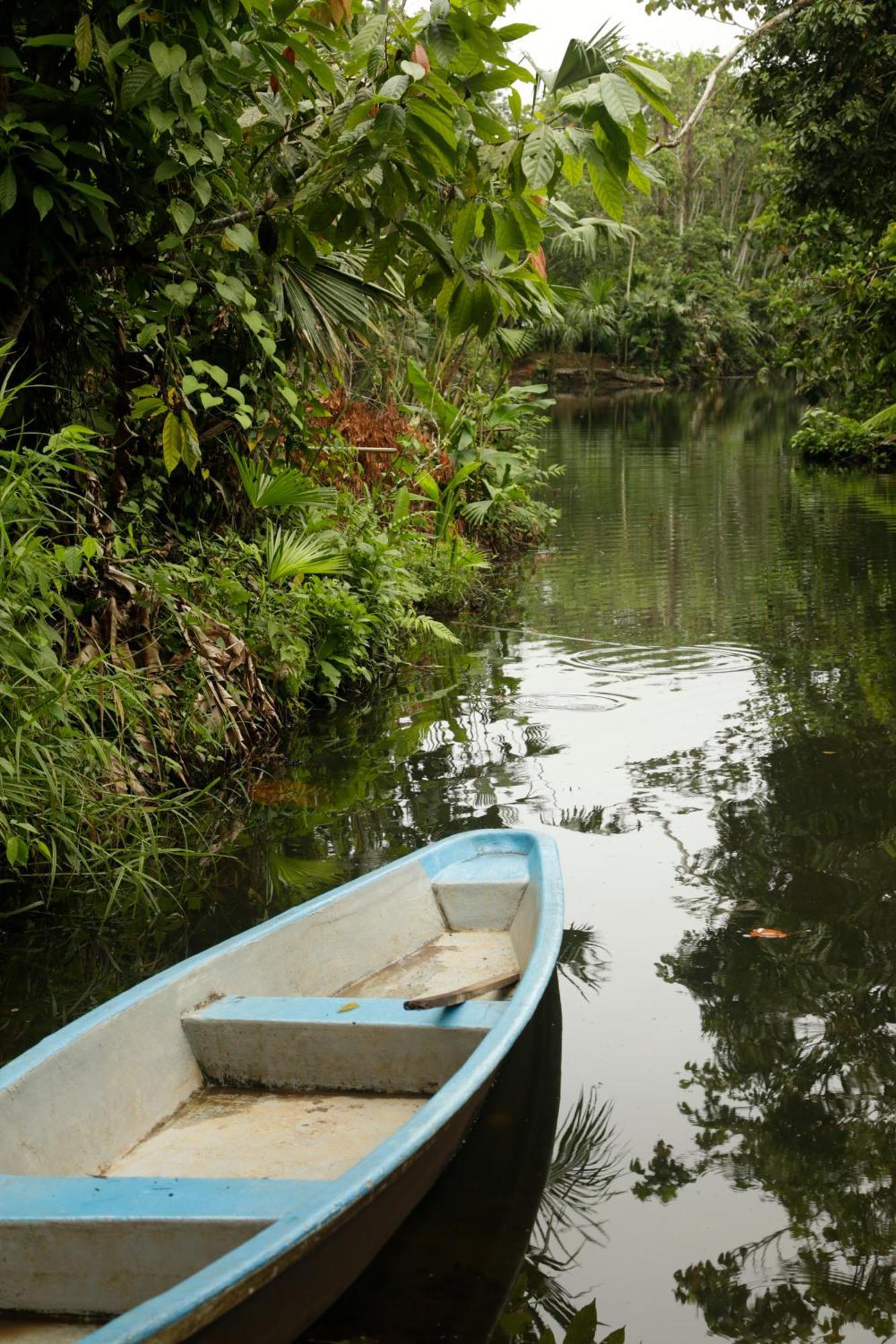 Misahualli Amazon Lodge Екстериор снимка